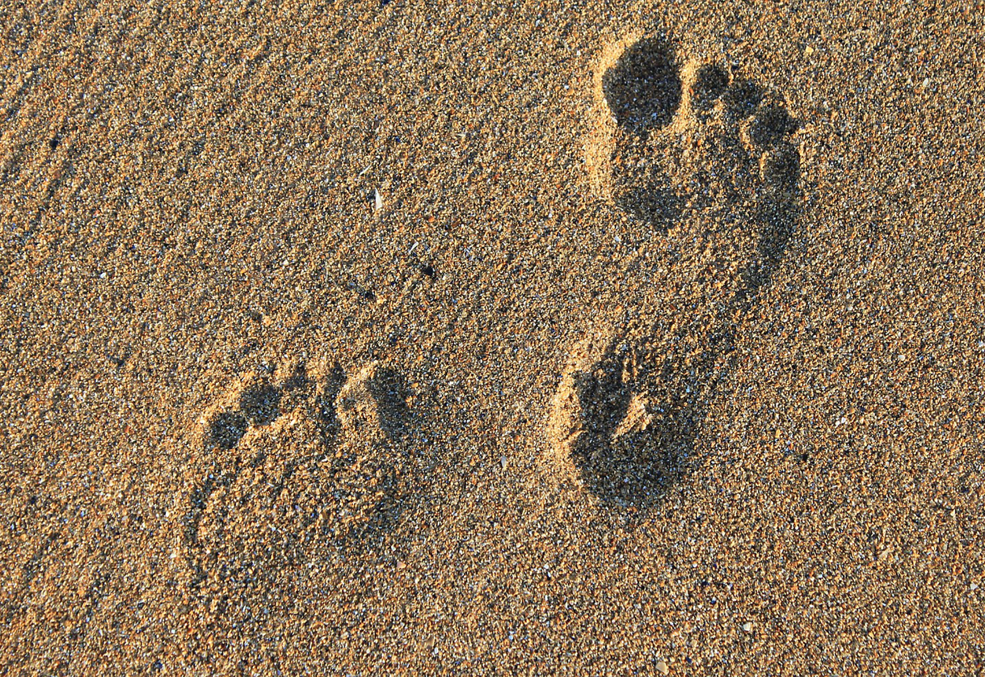 Fußabdrücke im Sand auf dem Weg zur Fußreflexzonentherapie